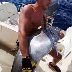 Gelbflossenthun, gefangen im September 2020 im Delta. © Frank Bahr
